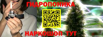 ПСИЛОЦИБИНОВЫЕ ГРИБЫ Славгород