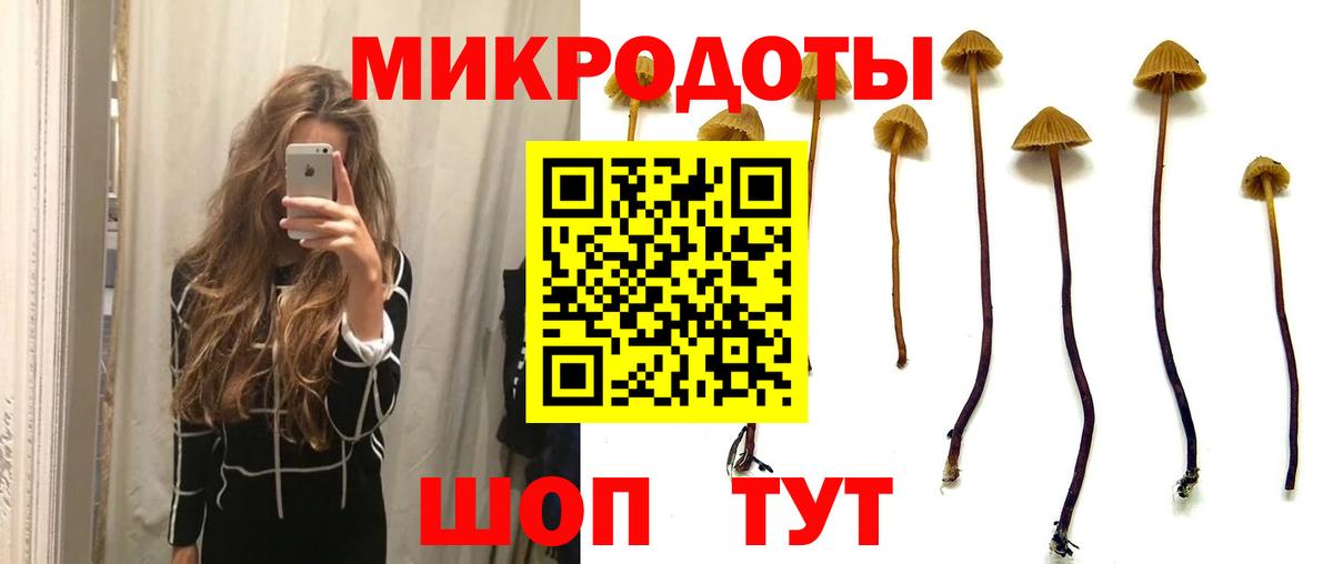 Галлюциногенные грибы мицелий  Вход с VPN  Первоуральск  где купить   Галлюциногенные грибы мицелий 